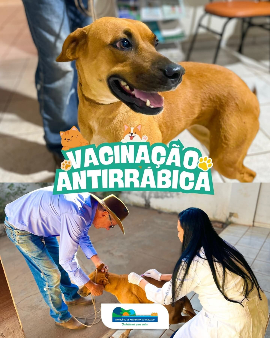 Vacinação Antirrábica já começou em Aparecida do Taboado!